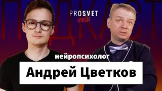 Что такое нейропсихология и нейропедагогика: Андрей Цветков / Просвет.Подкаст