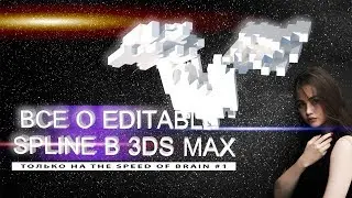 ПОЛНЫЙ КУРС ПО ЛИНЕЙНОМУ МОДЕЛИРОВАНИЮ .Все о EDITABLE SPLINE В 3D MAX.