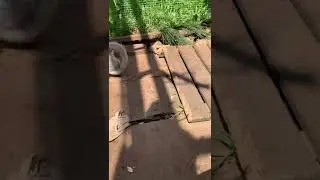 Беня закружился)))