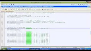 Windows Exploitation (SEH + ROP)