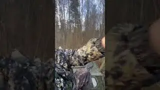 Охота на лося 