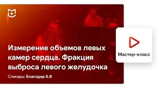 Измерение и расчеты в ЭхоКГ. Измерение объемов левых камер сердца. Благодир Б.В.