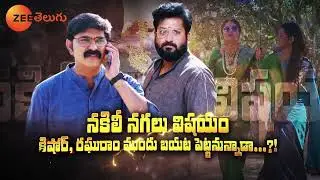 Padamati Sandhya Ragam - 11 March 2024 at 8:00 PM - Zee Telugu