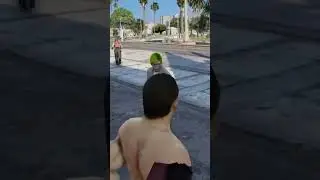 I DID NOT DO ANYTHING WRONG | GTA V FivePD
