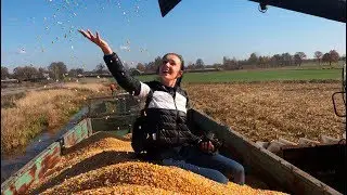 850 гектаров кукурузы на зерно. Кх Михаила Шруба