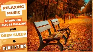 Relaxing Music for Deep Sleep & Meditation with Stunning Leaves Falling. #relaxingmusic #sleepmusic