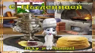 ZOOBE зайка Поздравление С Масленицей !