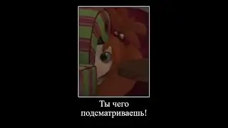 Муд барбоскины демотиватор 15