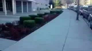 stupid