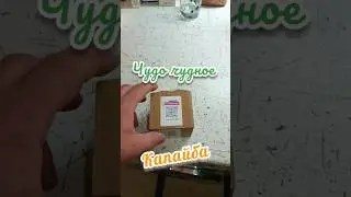 Чудо заморское - копайба