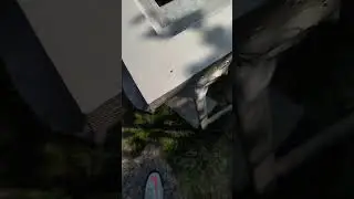 Fly in wet paint
