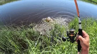 ОТ АДРЕНАЛИНА ЗАТРЯСЛИСЬ РУКИ!!! НАКОНЕЦ ТО Я ЕГО ДОЖДАЛСЯ!!! ПЕРВЫЕ САЗАНЫ ЭТОГО СЕЗОНА...