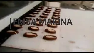 Demsa Makina Chocolate Enrobing machine and cooling tunnel