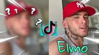 Guess The Tiktoker!
