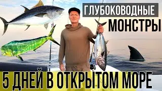 Пять дней в открытом море в поисках гигантских морских монстров. Рыбалка и подводная охота.