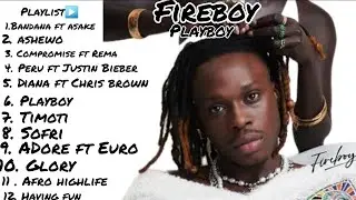 Fireboy DML Playboy Full Album ft Chris brown, Asake, Shensea, Rema, Ed Sheeran, Mix by Musicbwoy