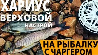 ХАРИУС В РУЧЬЕ КЛЮЁТ ПРЯМО ПОД НОГАМИ!!!