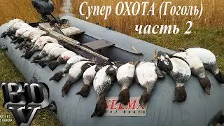 Супер ОХОТА (Гоголь)часть 2