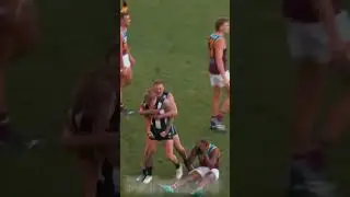 Brisbane thinking they will win the premiership... | @MrPortSupporter2024