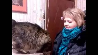 Любить по-русски )