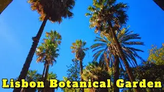 Lisbon Botanical Garden Walking Tour - Passeio a pé pelo Jardim Botânico de Lisboa