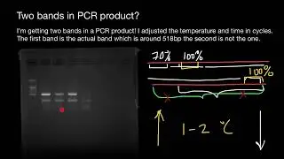 How to get rid of unspecific bands in Gel Electrophoresis