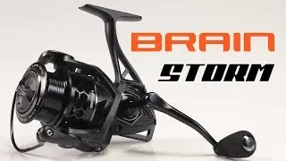 Обзор фидерной катушки Brain Storm