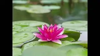 Inspirations for Metastatic Breast Cancer: June Podcast
