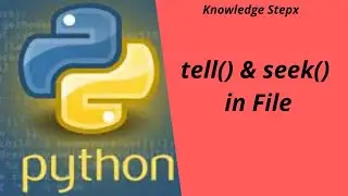 tell() and seek() in Python file