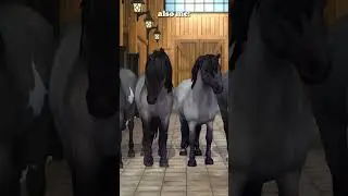 i dont have a favorite, i swear #starstableonline  #sso  #starstableonlinehorses #starstable