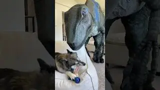 Dog won’t share bone with Dinosaur! 
