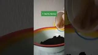 ИДЕАЛЬНЫЙ состав ГРУНТА для рассады! Все секреты за 20 СЕКУНД