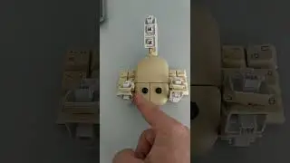 Скорпион из старой клавиатуры и мыши 