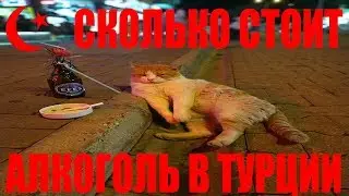 ТУРЦИЯ 2024/ ЦЕНЫ НА АЛКОГОЛЬ ГДЕ КУПИТЬ/