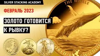 На рынок золота приплыли киты! Чего ждать дальше?  Новости рынка драгметаллов Февраль 2023