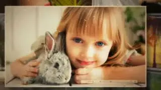Photo Memories | After Effects Project Files - Videohive template