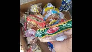 Тестирование выживание на помойках.