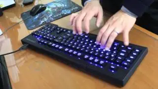 [PNN] 쿨러마스터 Cm Storm Trigger Z 타건 영상