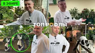 ТОП РОФЛЫ С ЗООПАРКА, С ПАПИЧЕМ