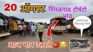 20 ऑगस्ट आजचे टोमॅटो भाव पिंपळगाव मार्केट / आज भाव खूप कमी झाले आहे / pimplgav tomato rate / Tomato