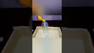 Blow Balloon with Baking soda and Vinegar #Science Project #sciencefairproject #scienceexperiment