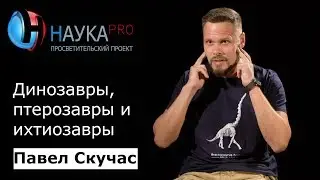 Как отличать древних ящеров: динозавры, птерозавры и ихтиозавры – палеонтолог Павел Скучас | Научпоп