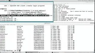 How to Remove Docker Containers and Images