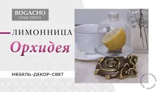 BOGACHO. Лимонница Орхидея Лайм