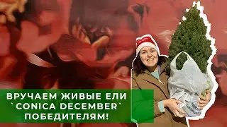 Дарим призы и новогоднее настроение!