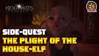 THE PLIGHT OF THE HOUSE ELF | HOGWARTS LEGACY SIDE-QUEST