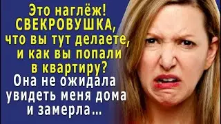 - Это наглёж! - выхожу с балкона, а СВЕКРОВЬ стоит в прихожей, она НЕ ОЖИДАЛА увидеть меня дома
