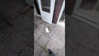Inspecting Dads work