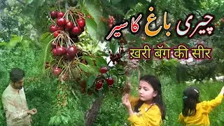 Excursion To The Cherry Orchard | چیری باغ کی سیر | ख़री बॅग की सीर | Gilgit Baltistan | Hunza Nagar
