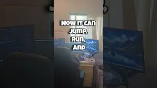 Day 2/30 of Creating a Cat Video Game From Scratch.. #programming #coding #gamedev #gamedevelopment